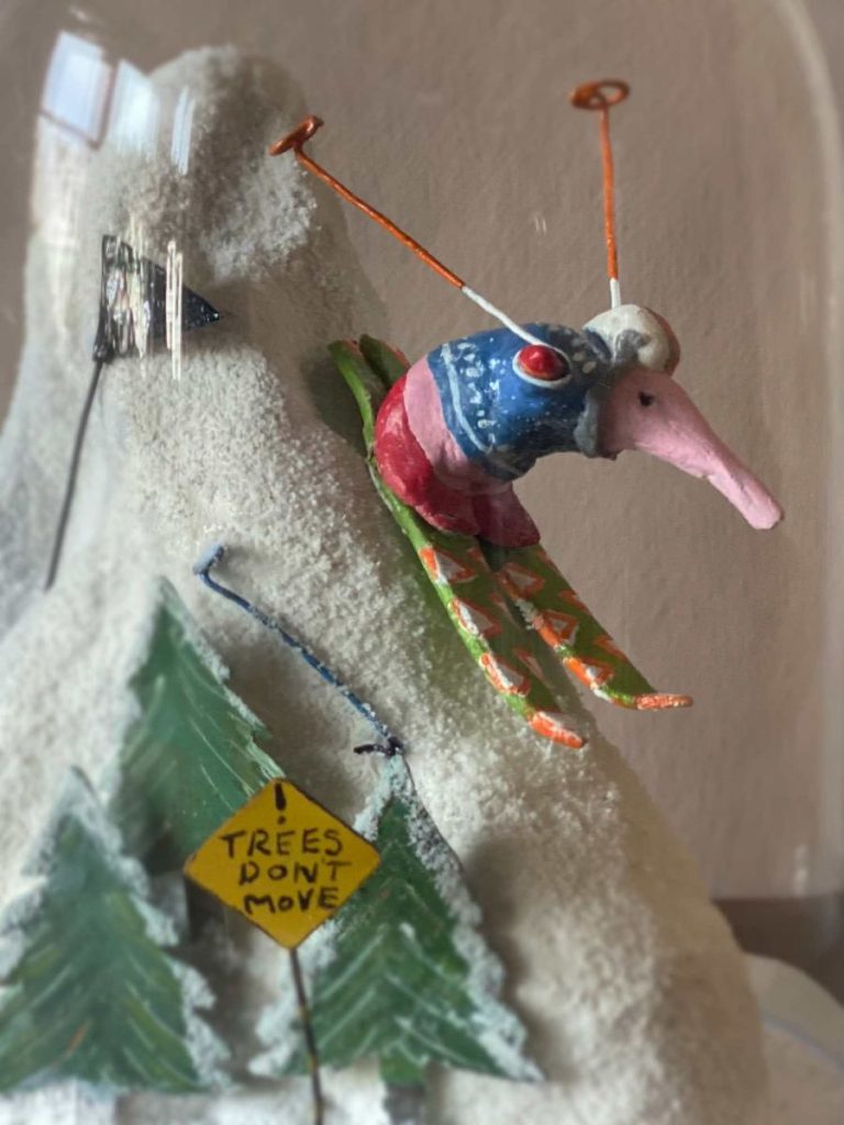 Skiing Aardvark