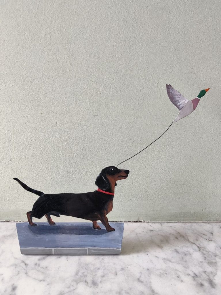 Dachshund chasing.....