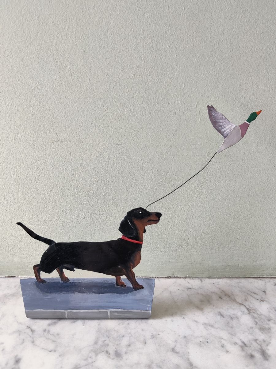 Dachshund chasing.....