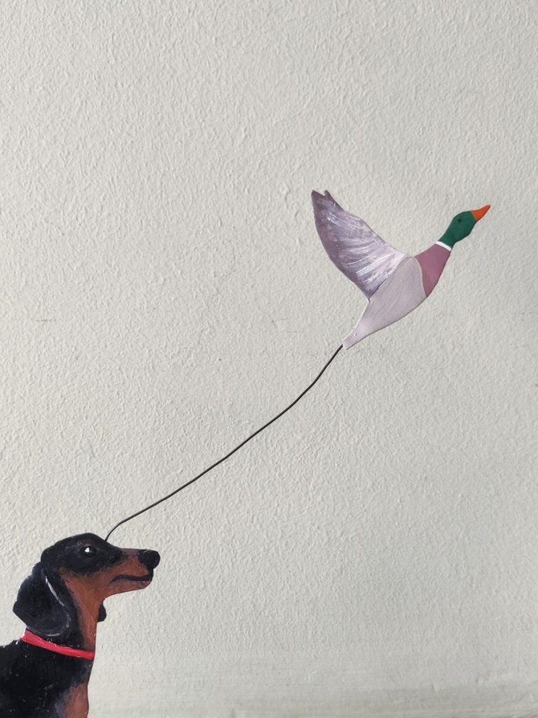 Dachshund chasing.....